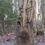 Der "Mund der Wahrheit"